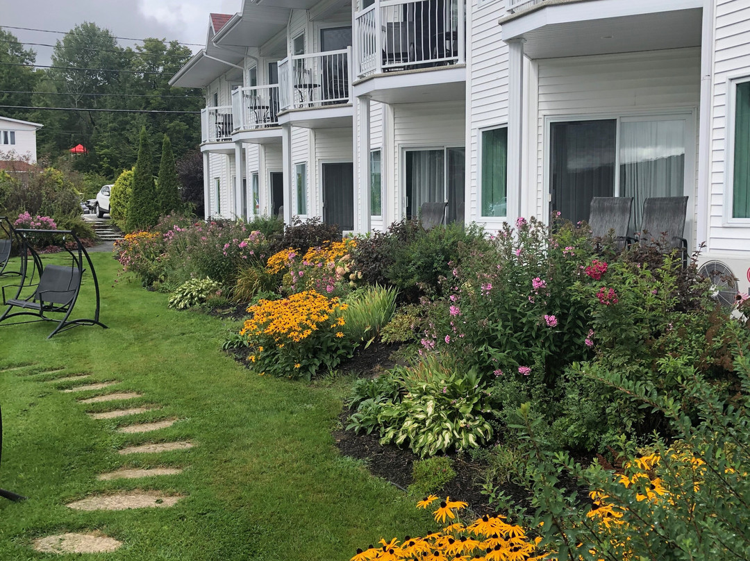 Manoir du lac William主图