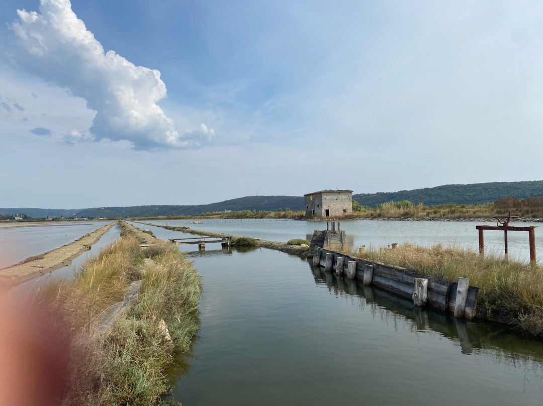 Secovlje Salina Nature Park景点图片