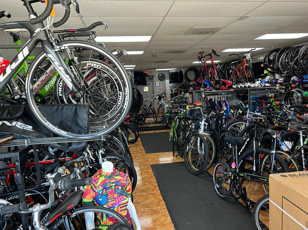 Andante Bikes-Cutler Bay必去景点