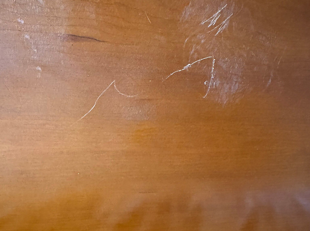 里士满南/南方公园希尔顿花园旅馆主图