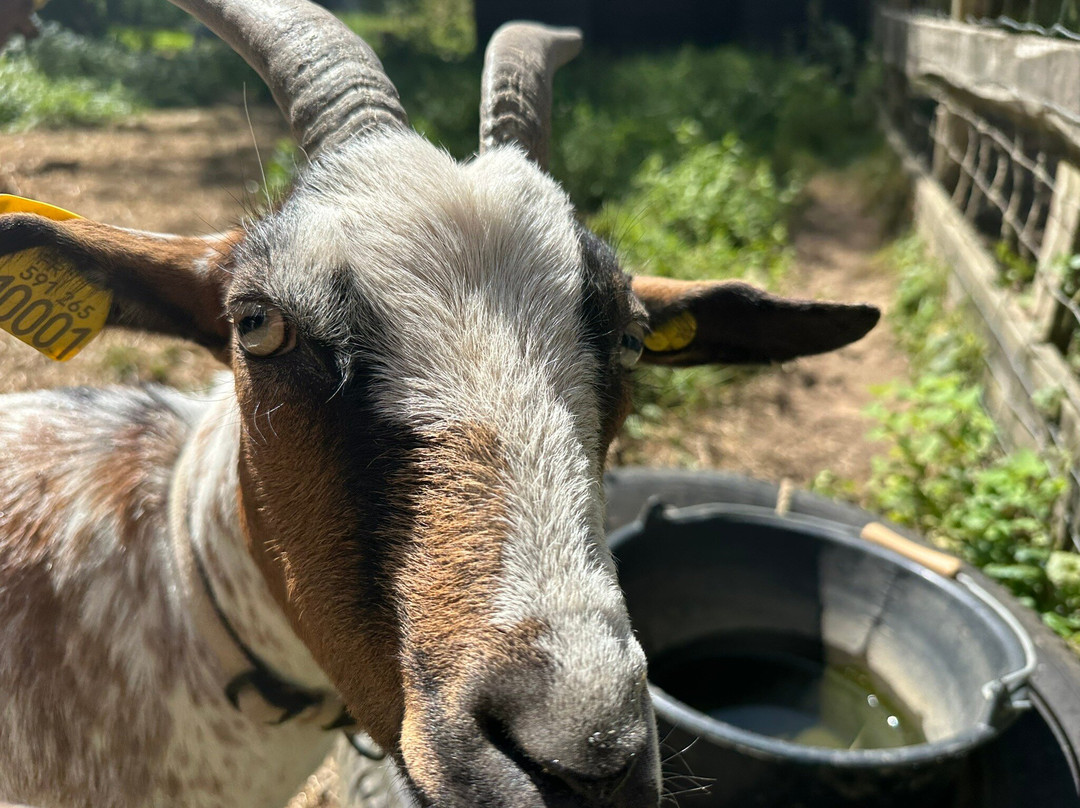 Camping Moulin De La Geneste主图