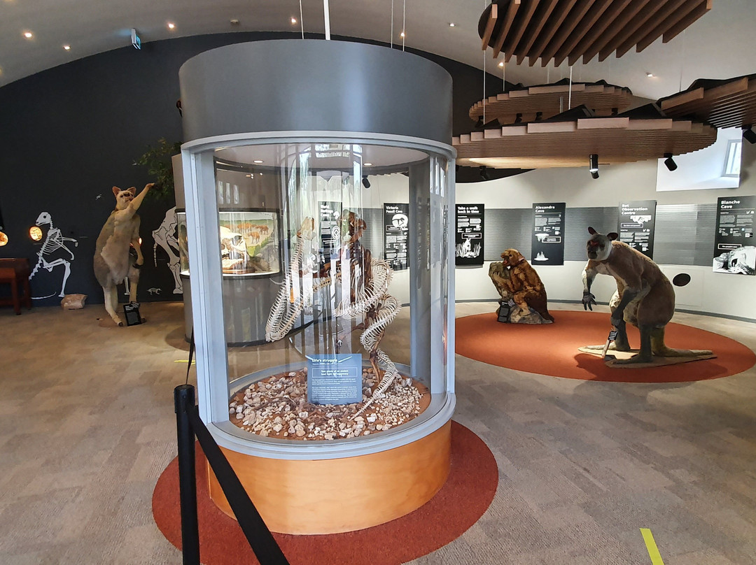 Naracoorte Visitor Information Centre-Naracoorte必去景点