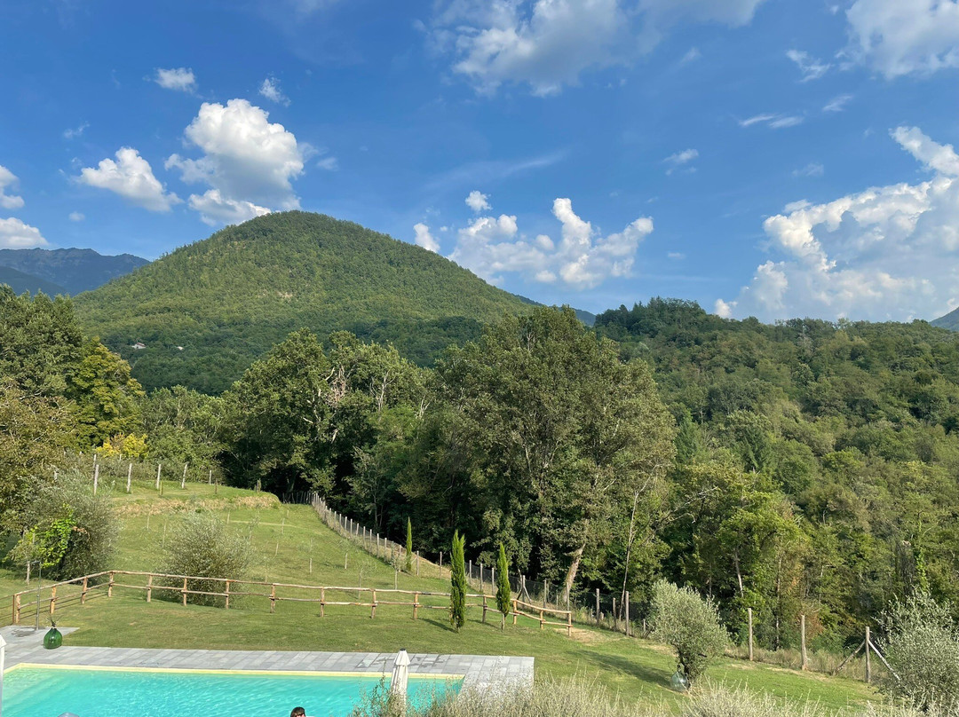 Agriturismo I Giunchi主图