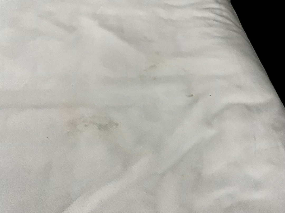 Comfort Inn & Suites主图