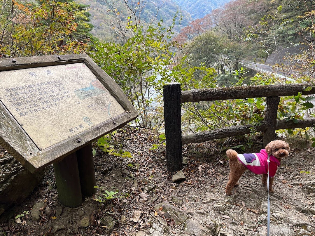 Ryuka Waterfall-那须盐原市必去景点