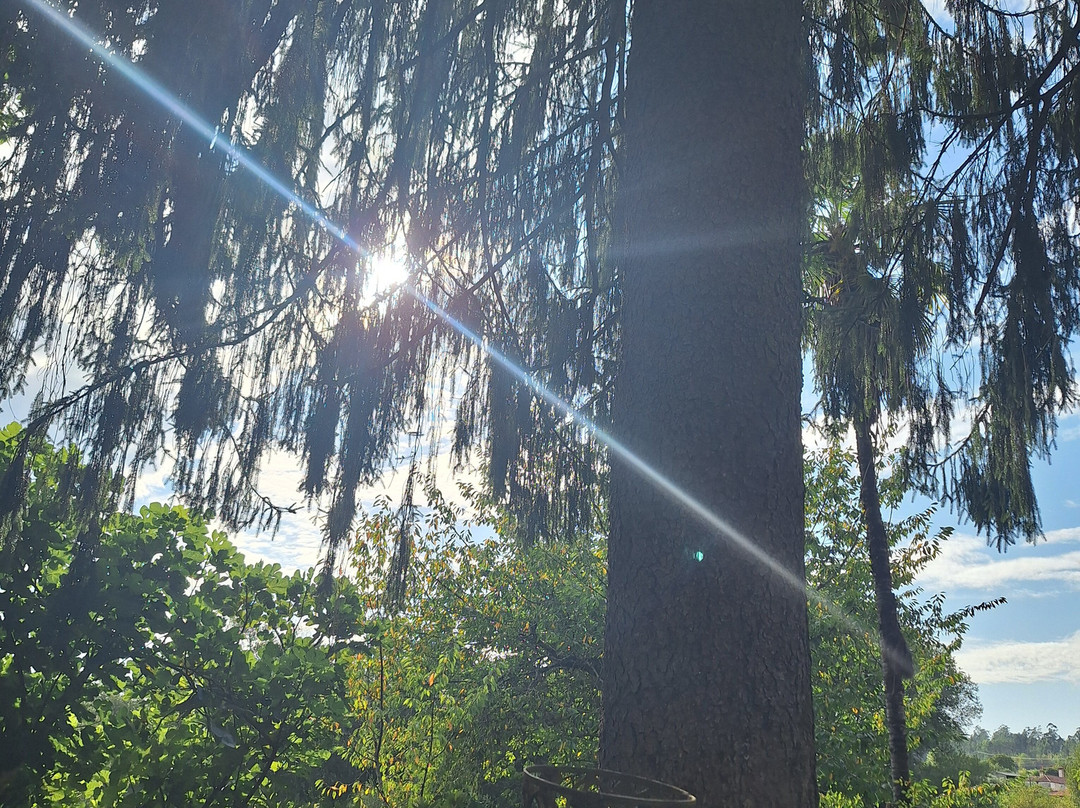 Pazo de Andeade主图