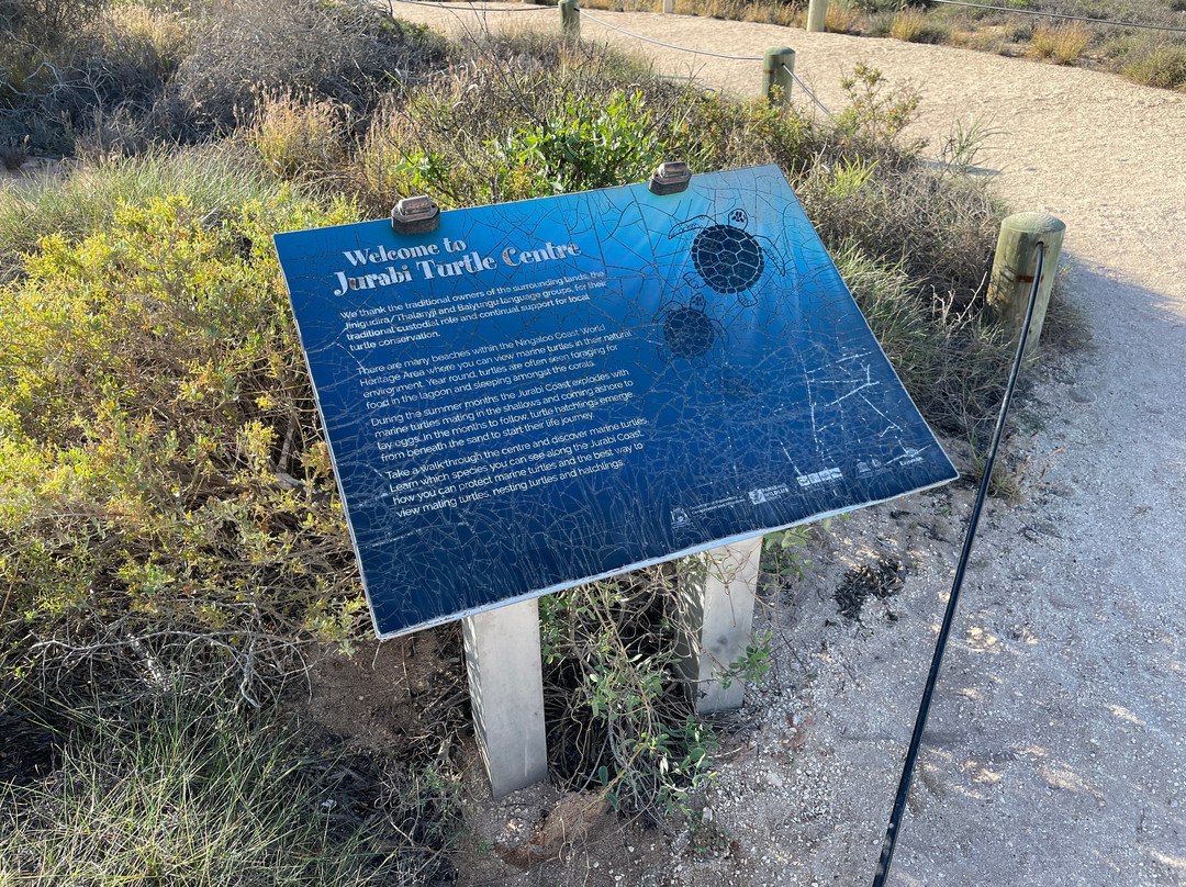 Jurabi Turtle Centre-埃克斯茅斯必去景点