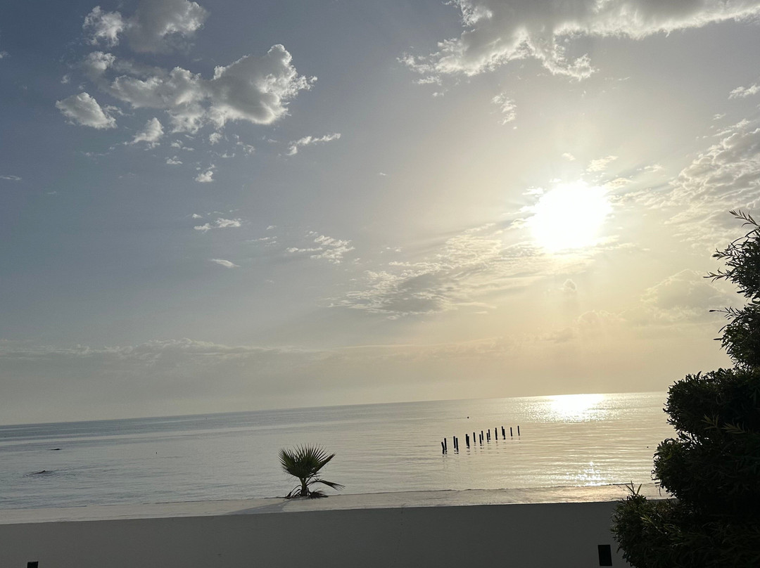 Mövenpick Gammarth主图