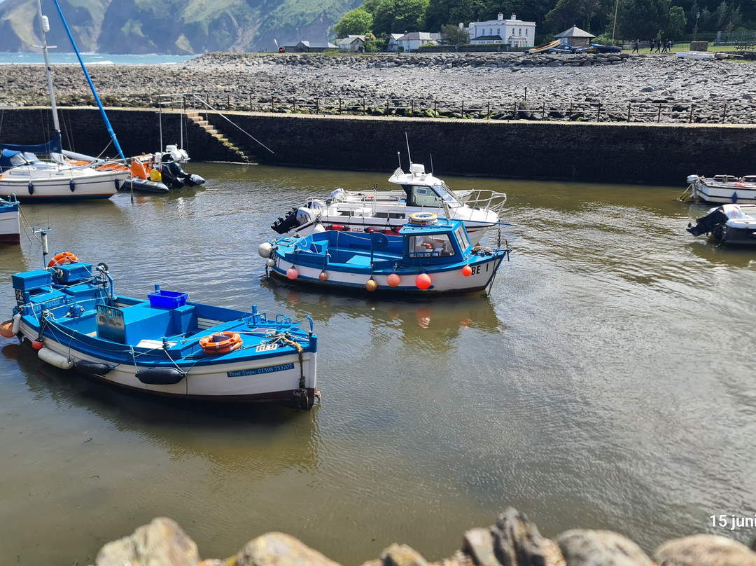 Lynmouth Harbour景点图片