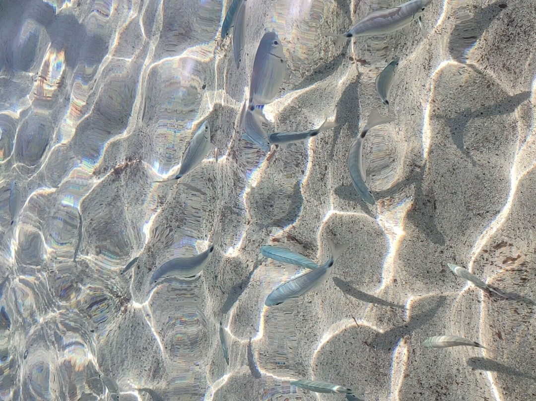 Cala Caterina Beach-维拉西谬斯必去景点
