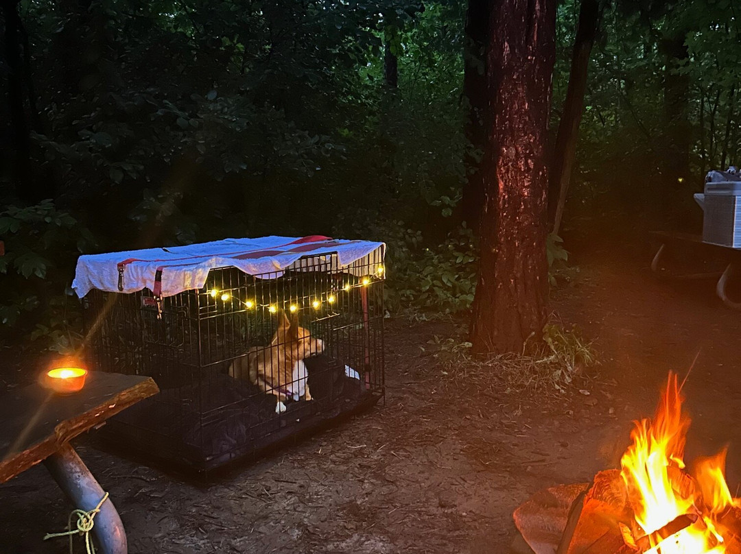 Valens Conservation Area-汉密尔顿必去景点