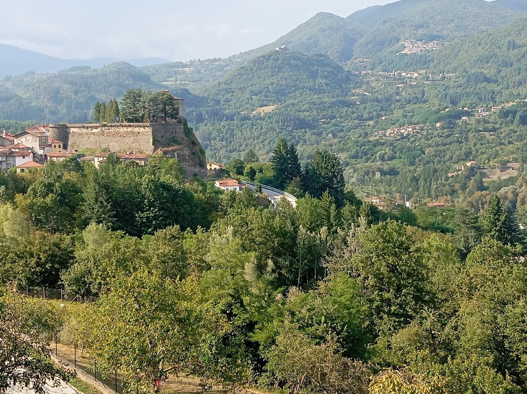 Rocca degli Estensi景点图片