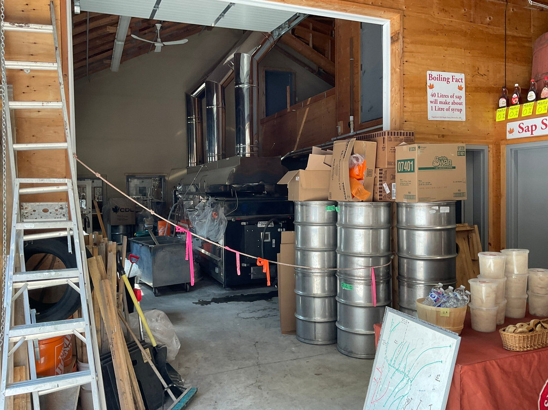 Sugarbush Hill Maple Farm-亨茨维尔必去景点