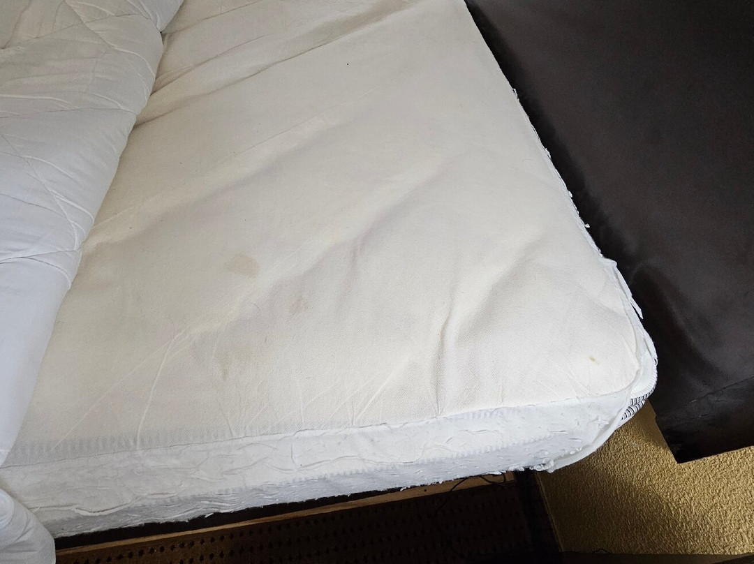 Quality Inn & Suites主图