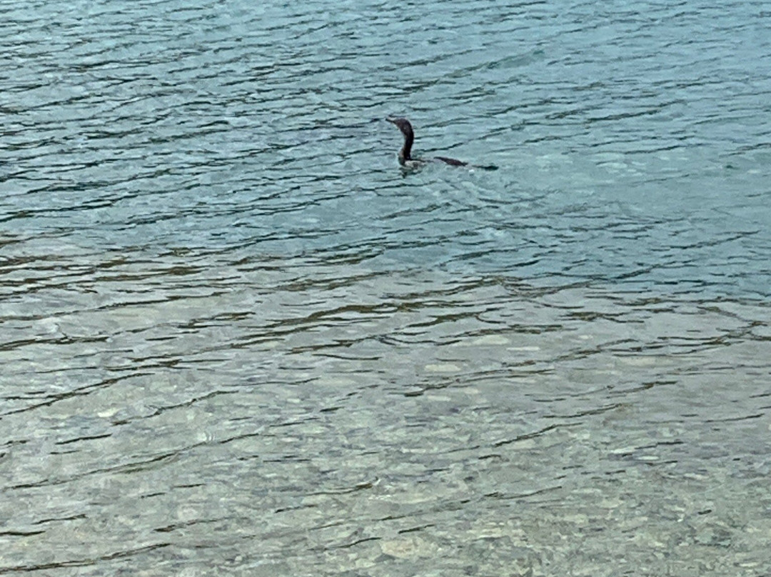 Dexia Beach-Vathy必去景点