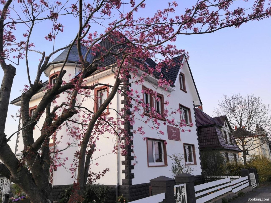 Villa Kopp - Das Gästehaus主图