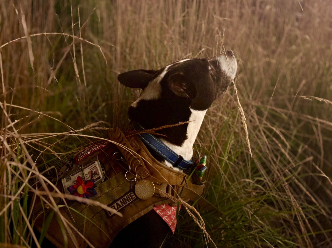 Hotel Zero Degrees Danbury主图