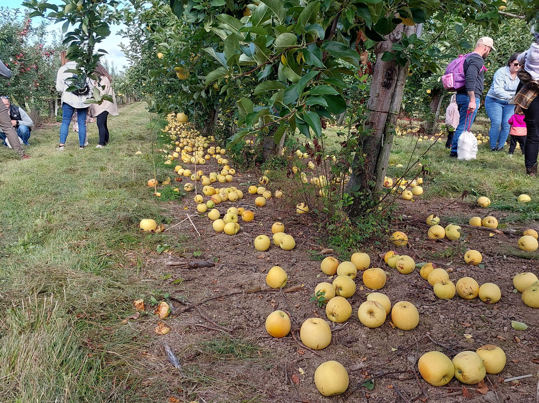 La Ferme Genest-Saint-Nicolas必去景点