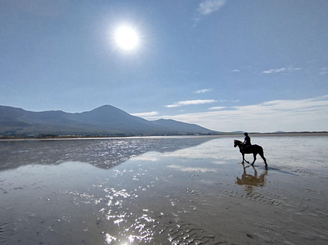 Croagh Patrick Stables-Murrisk必去景点