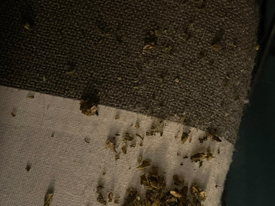 Towneplace Suites Evansville Newburgh主图