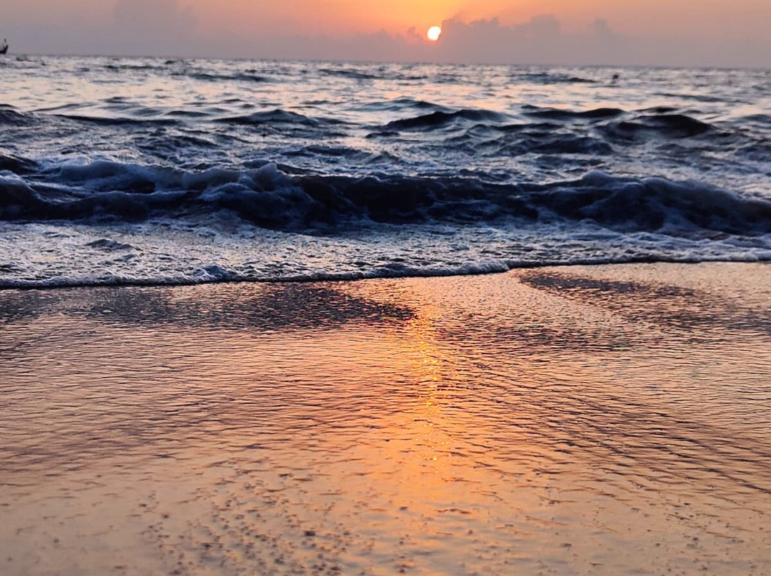 Seclude Marari Sands, Kerala主图