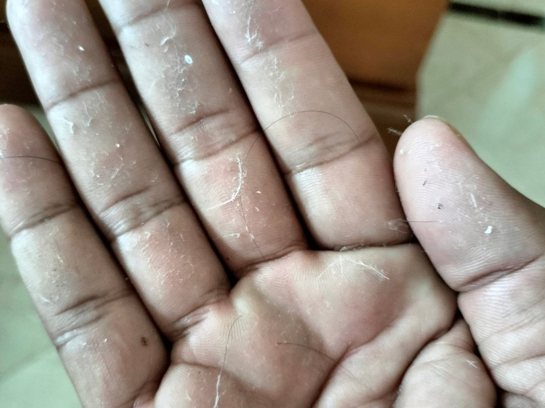 Villahermosa Marriott Hotel主图