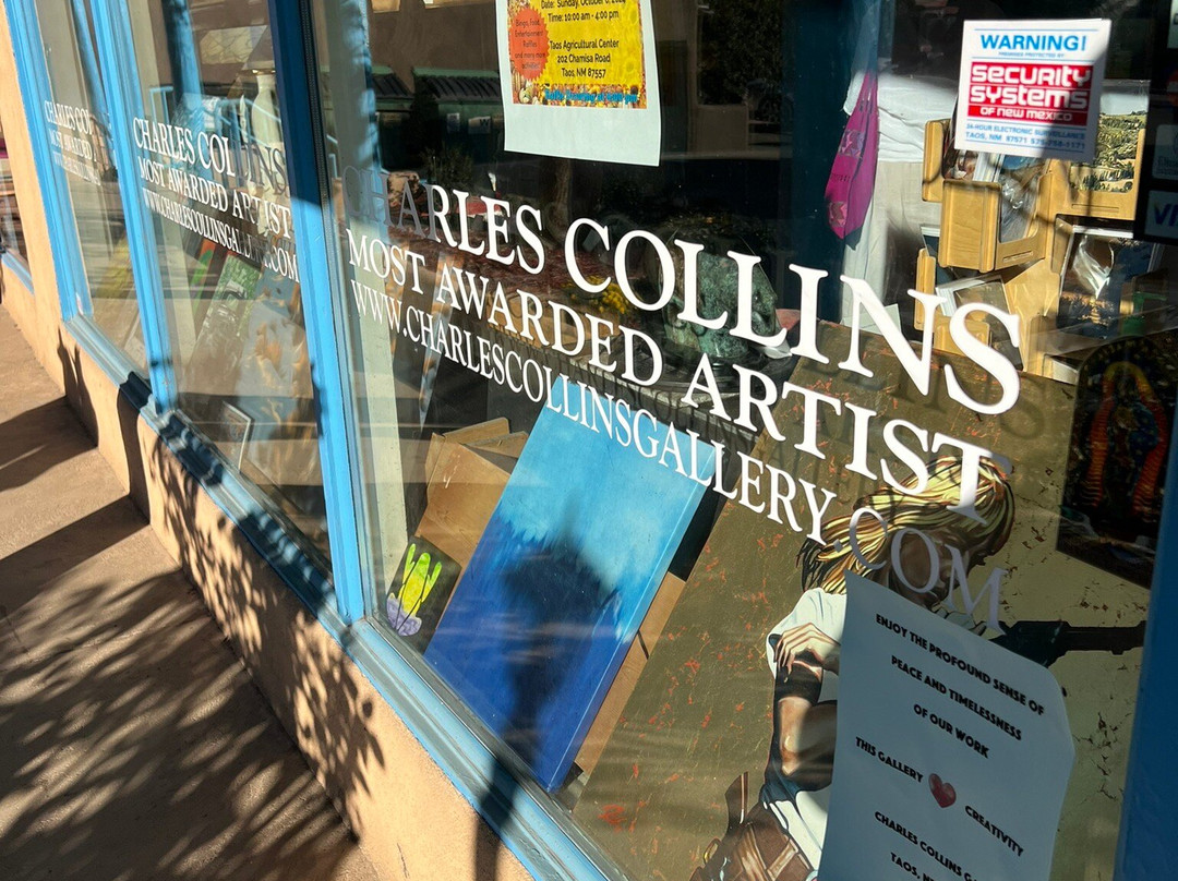 Charles Collins Gallery-道师城必去景点