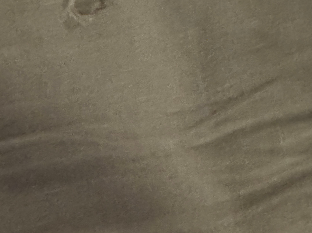 夏日玫瑰度假酒店暨Spa主图