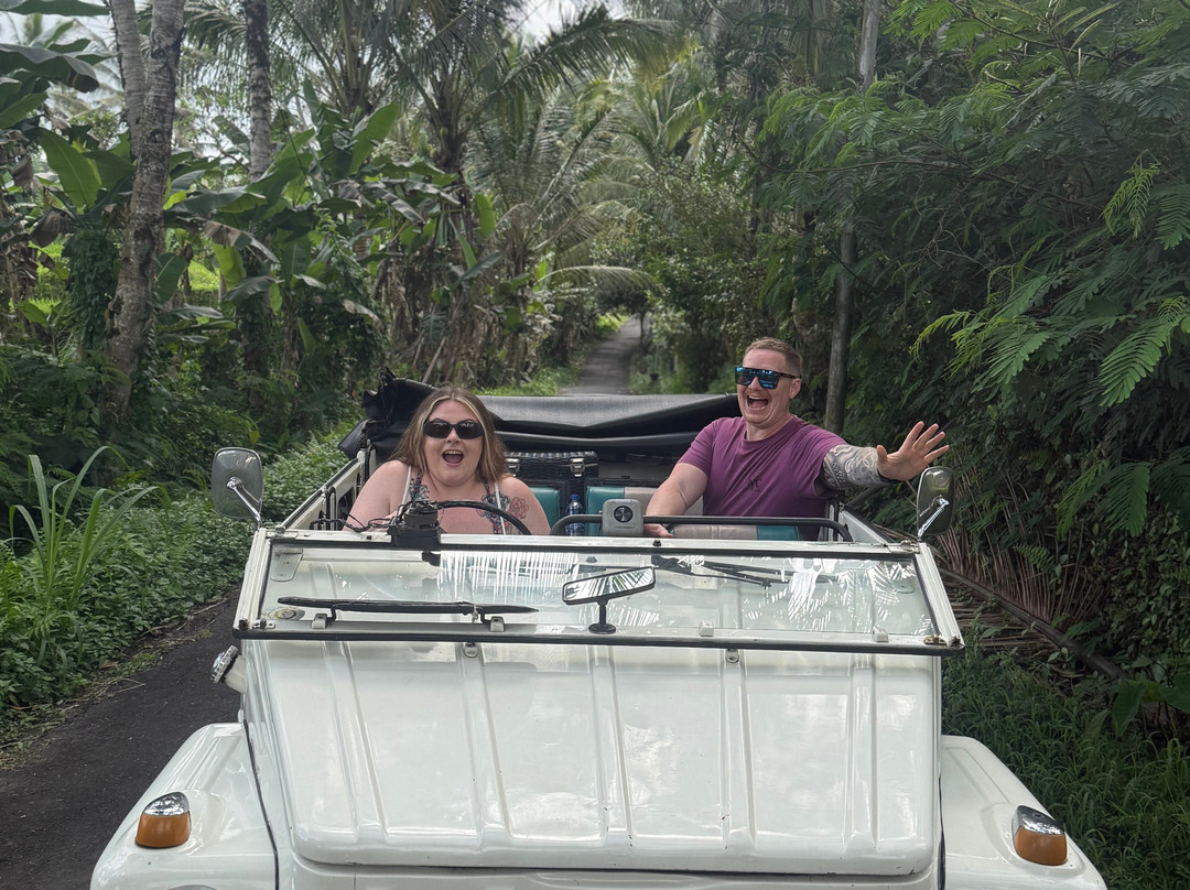 Bali Classic Tour - Private Day Tours-登巴萨必去景点