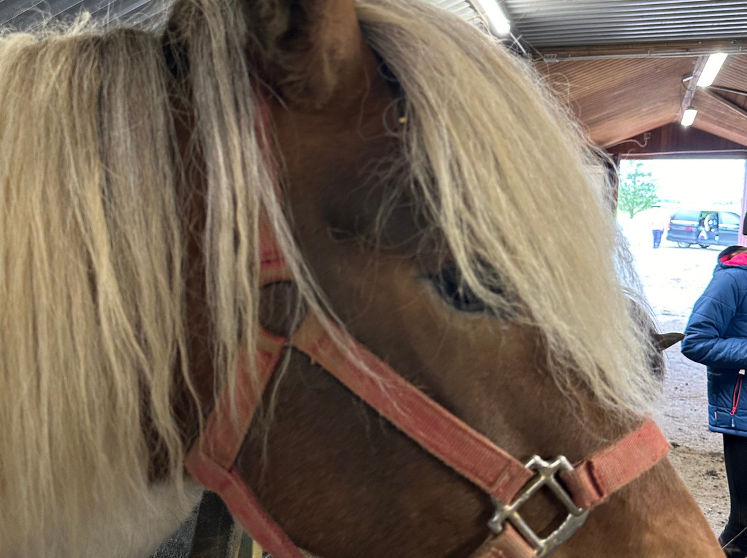 Riding Tours South Iceland-Fludir必去景点