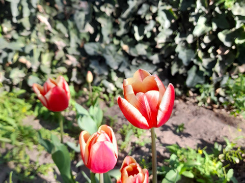 The Town of Gaiman-马德林港必去景点