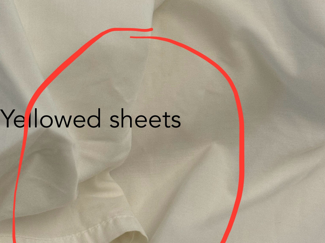 Holiday Inn Express & Suites Raton by IHG主图