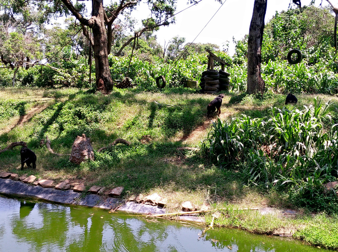 Uganda Wildlife Conservation Education Centre-恩德培必去景点