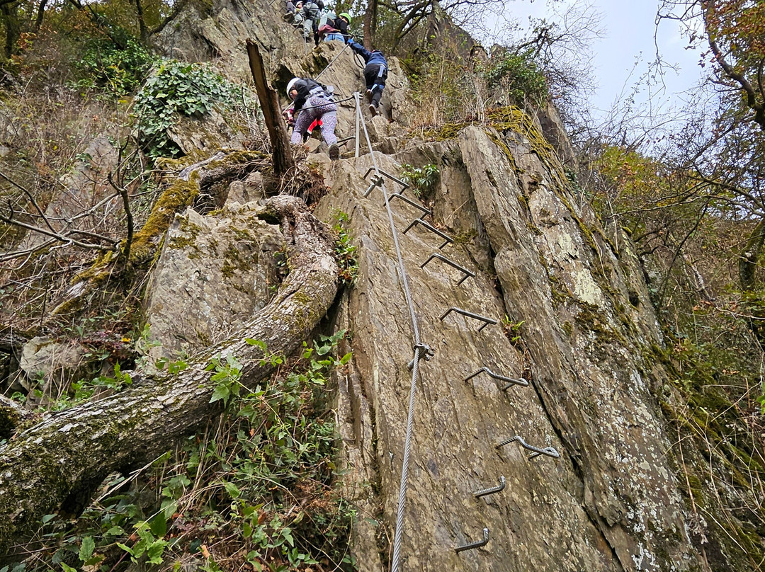 Mittelrhein Klettersteig-博帕德必去景点