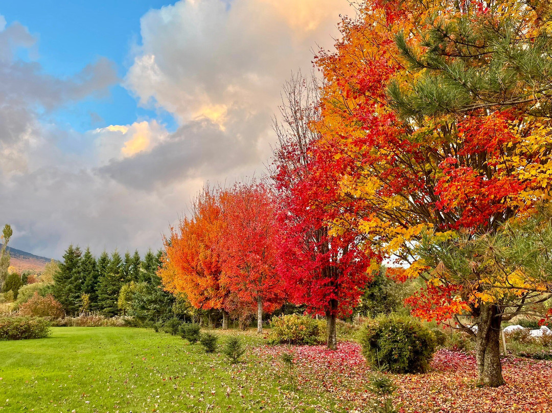 Aux Berges de l'Aurore主图