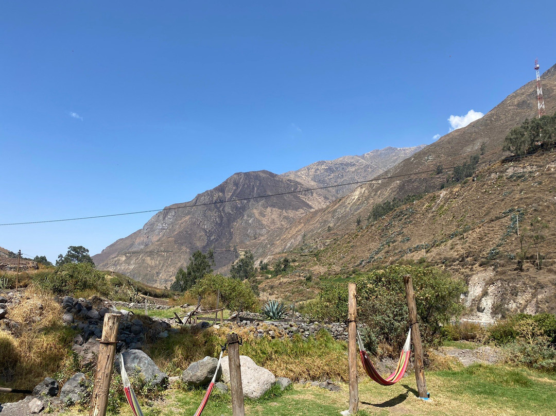 Hospedaje San Alejandro主图