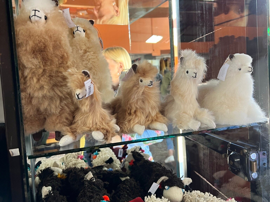 Museo Sulca Textiles-库斯科必去景点