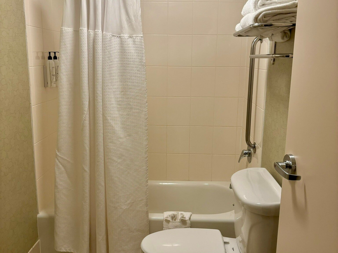 SpringHill Suites by Marriott Devens Common Center主图