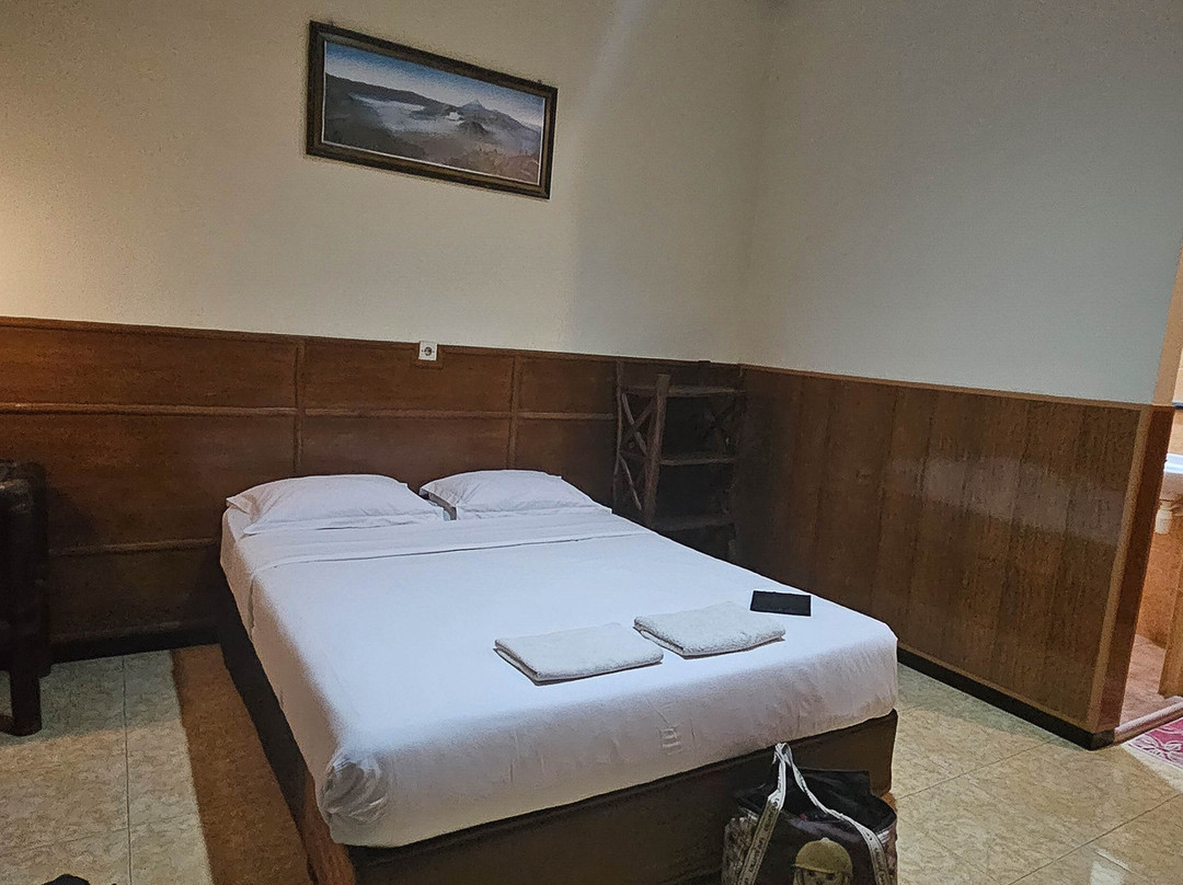 OYO 573 Rani Homestay Bromo主图