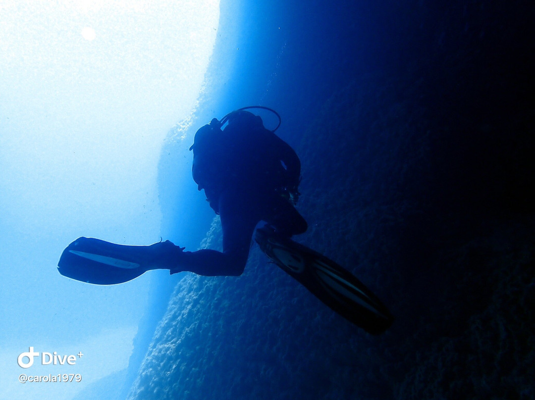 Bliss Dive-Marsalforn必去景点