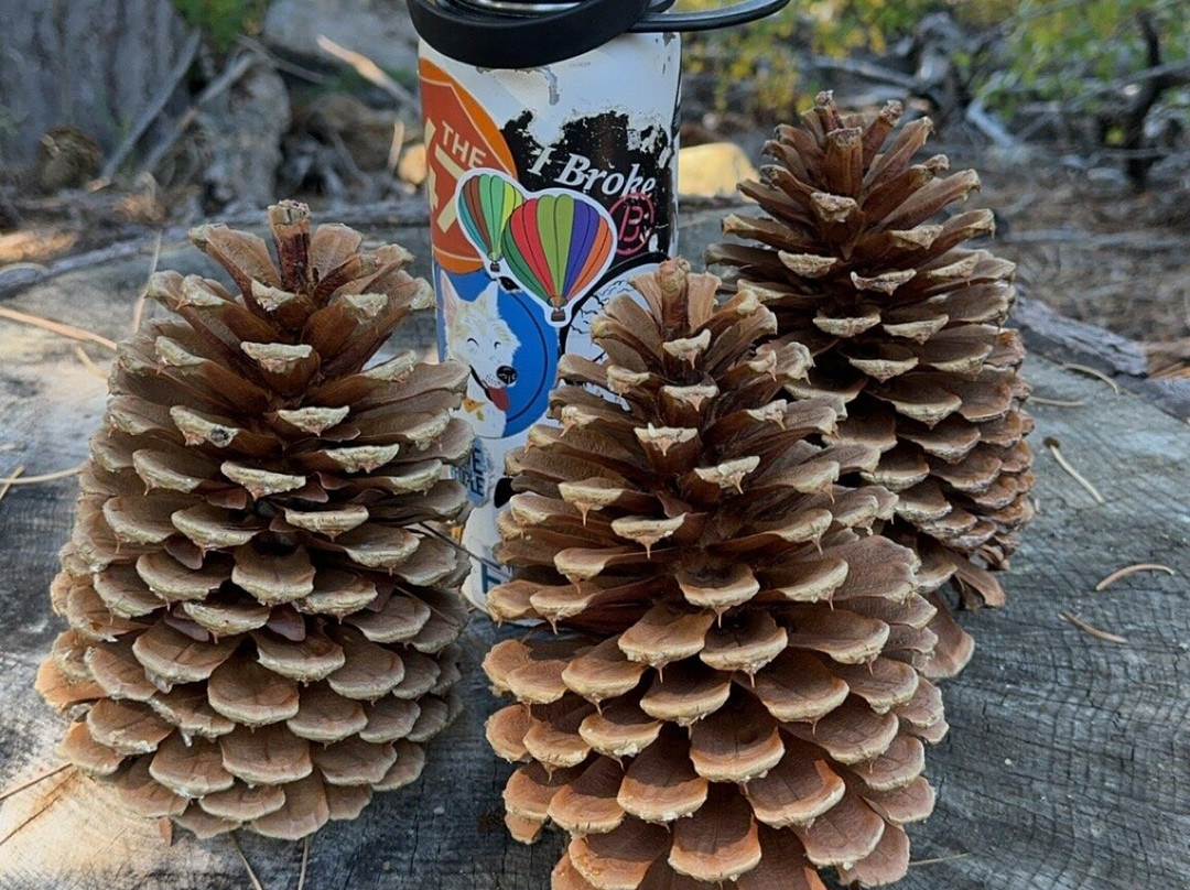 Rainbow Trail-南太浩湖必去景点