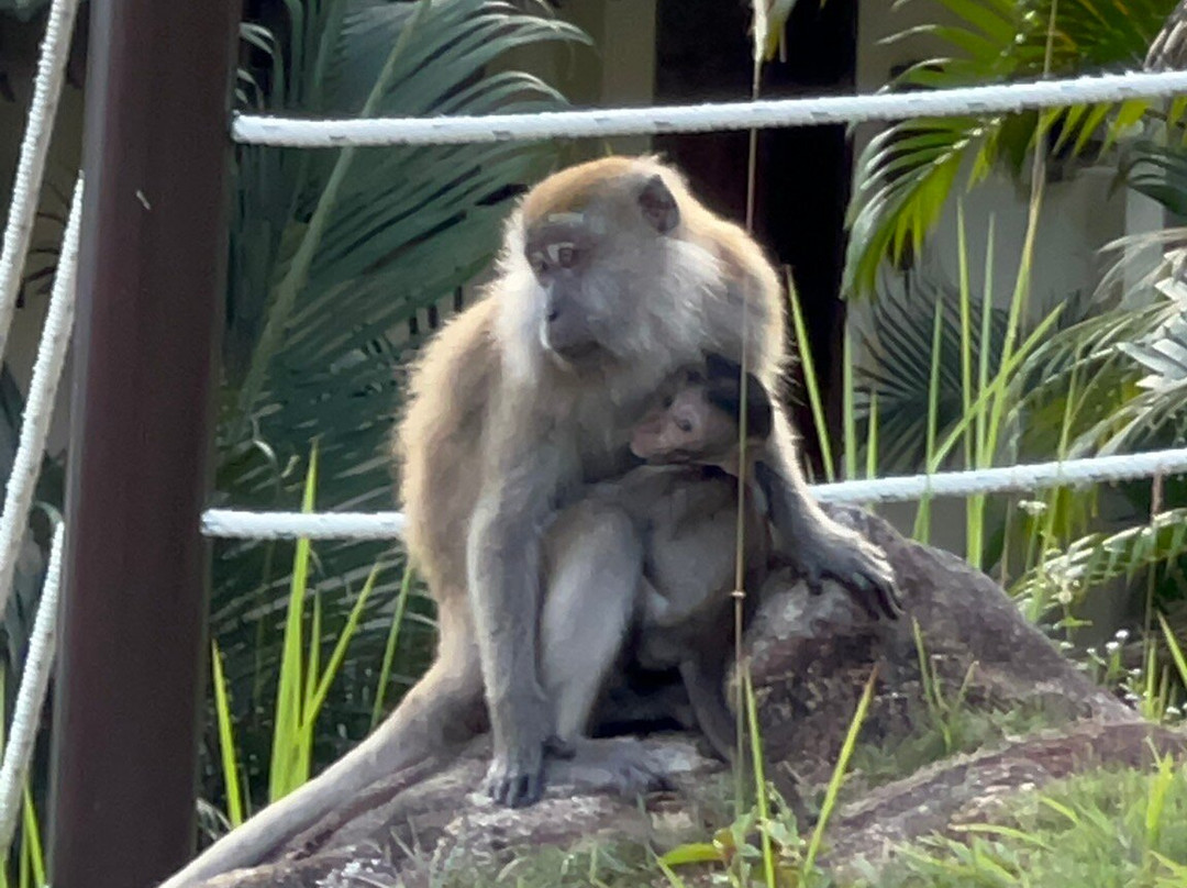 米纳安格湾度假酒店主图