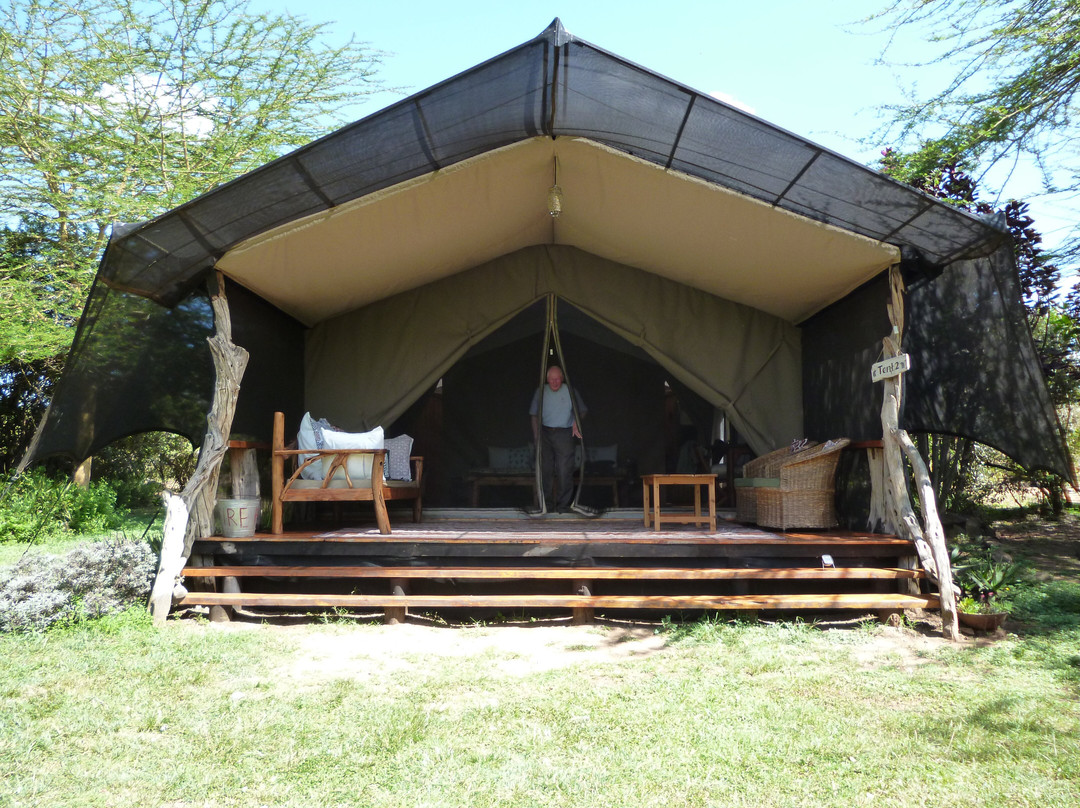 Ekorian's Mugie Camp主图