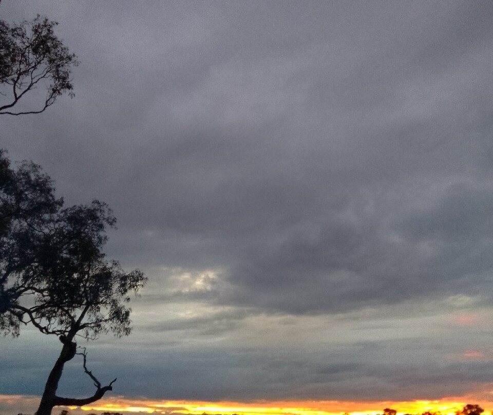 Cockatoo Lake Recreation Reserve-Naracoorte必去景点