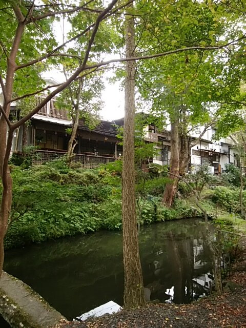 厳美渓-一关市必去景点