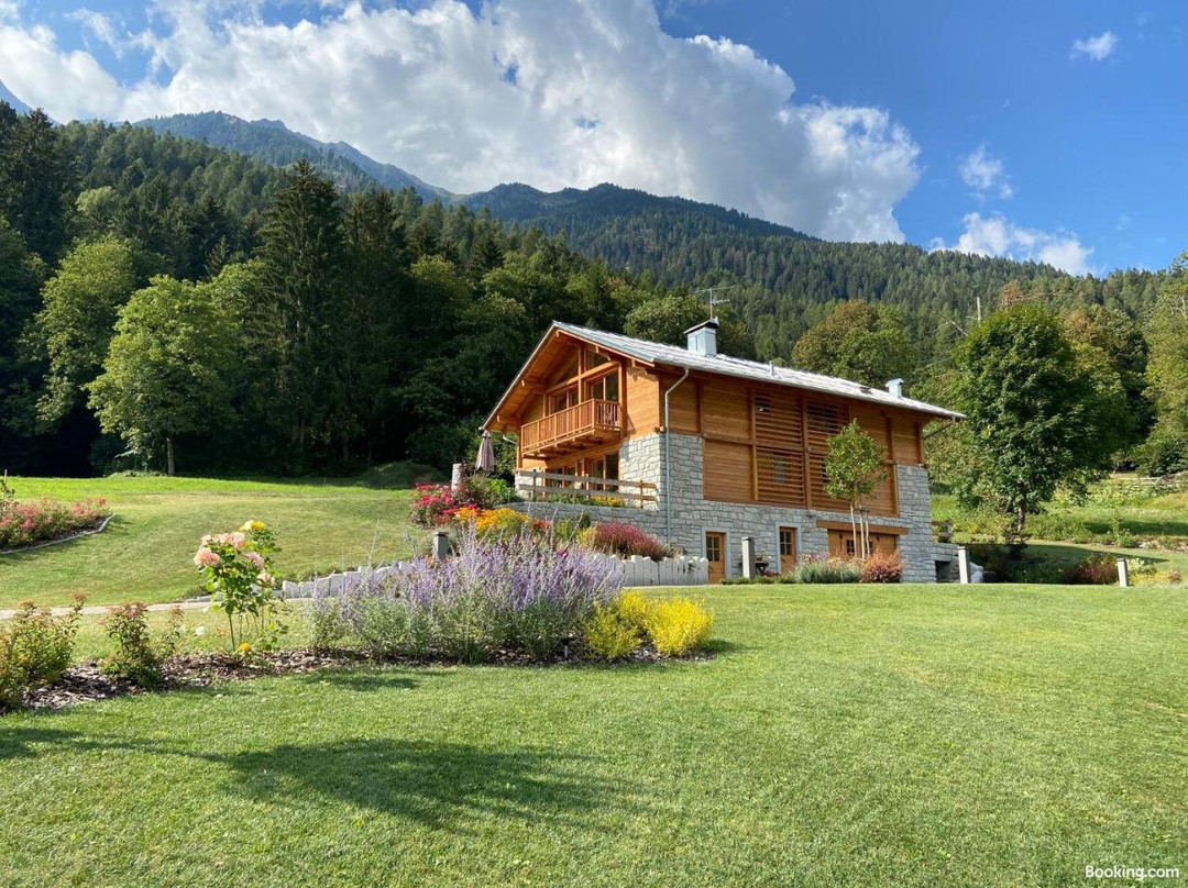 B & B Chalet Plan主图