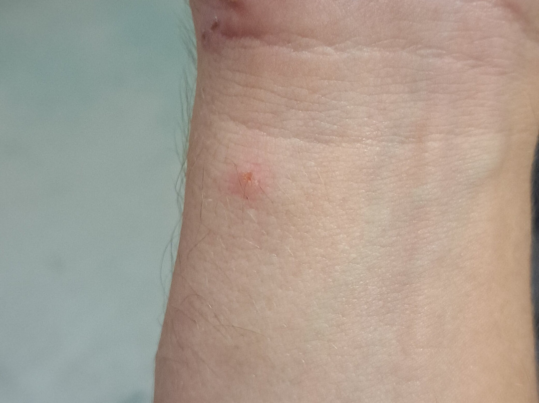 Gateway Park Hotel & Suites主图