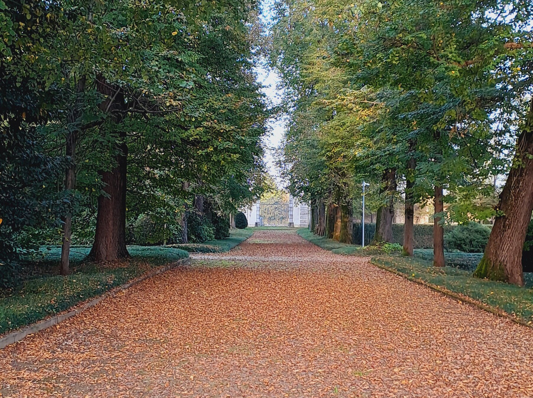 Museo Nazionale di Villa Pisani景点图片