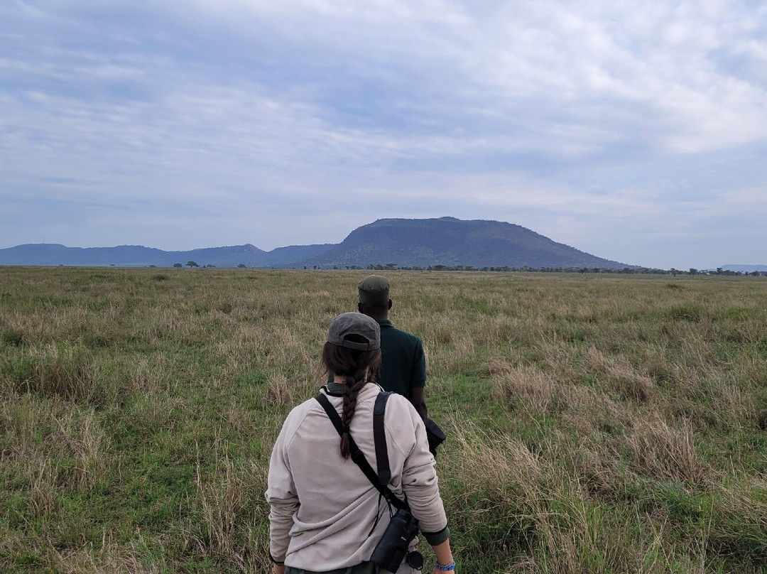 Mountain’s Hug主图