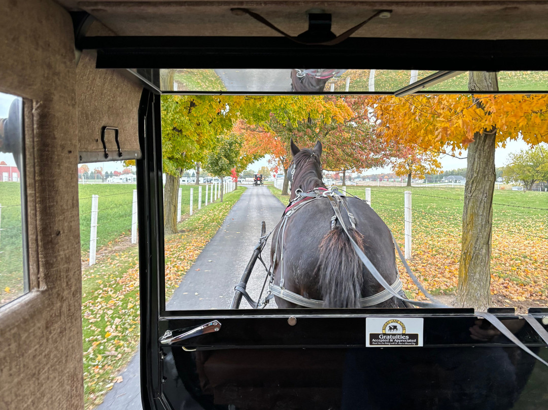 Buggy Lane Tours-Shipshewana必去景点